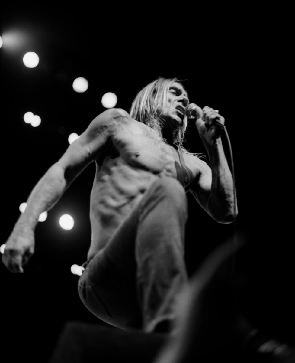 Iggy Pop