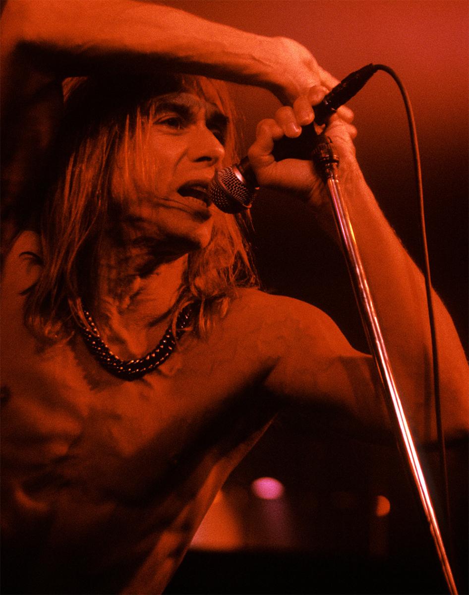 Iggy Pop